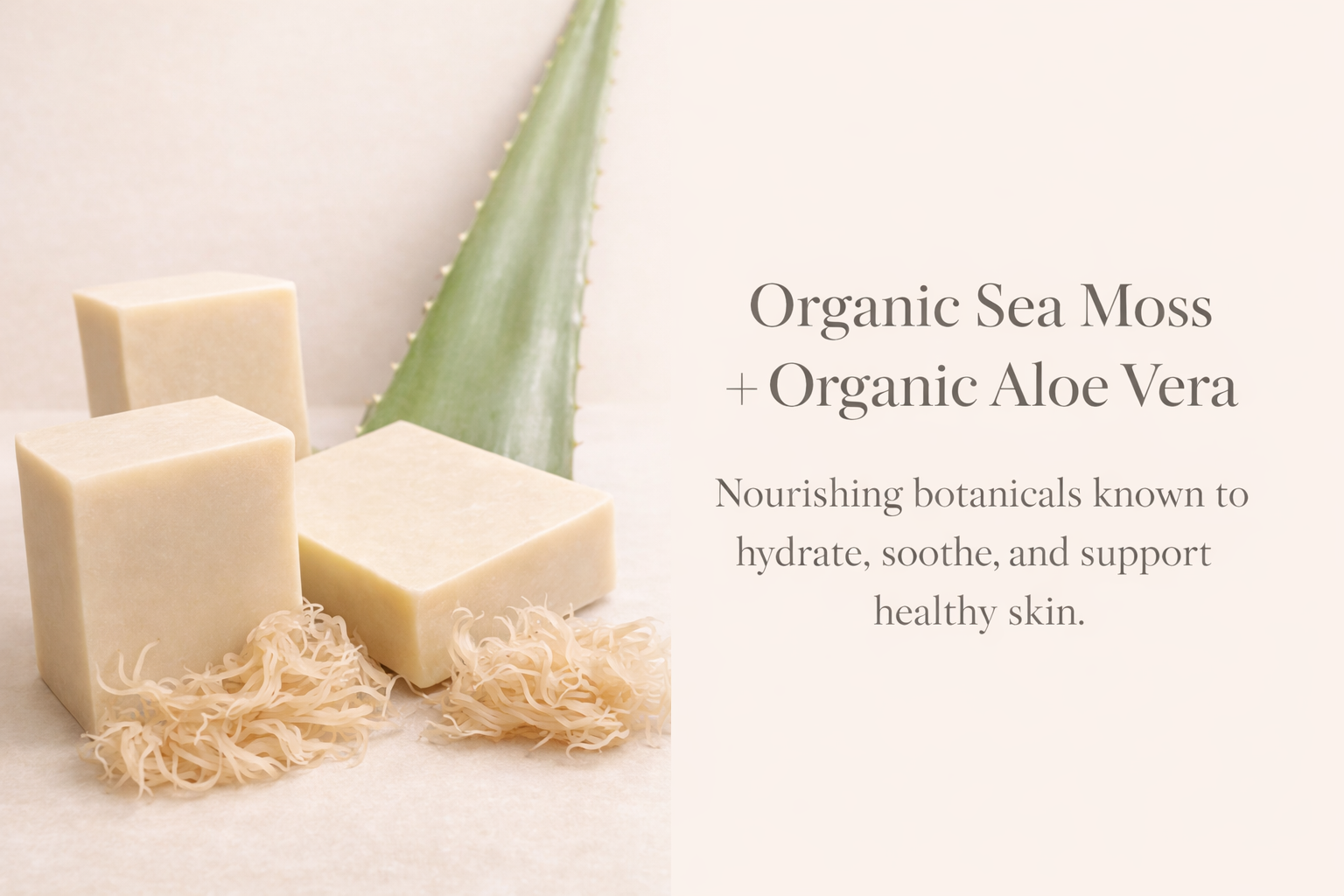 Sister's Promise natural skincare product showcase